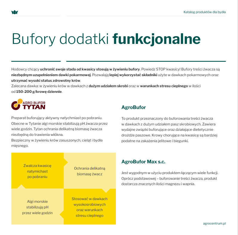 Zrzut ekranu 2025-11-30 141201