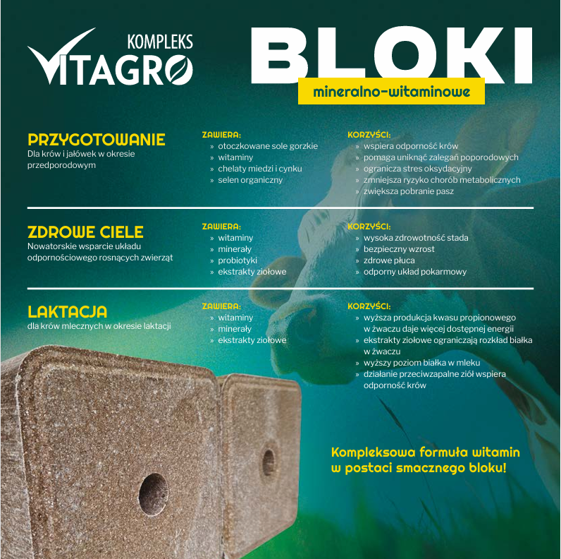 Zrzut ekranu 2025-11-30 140952