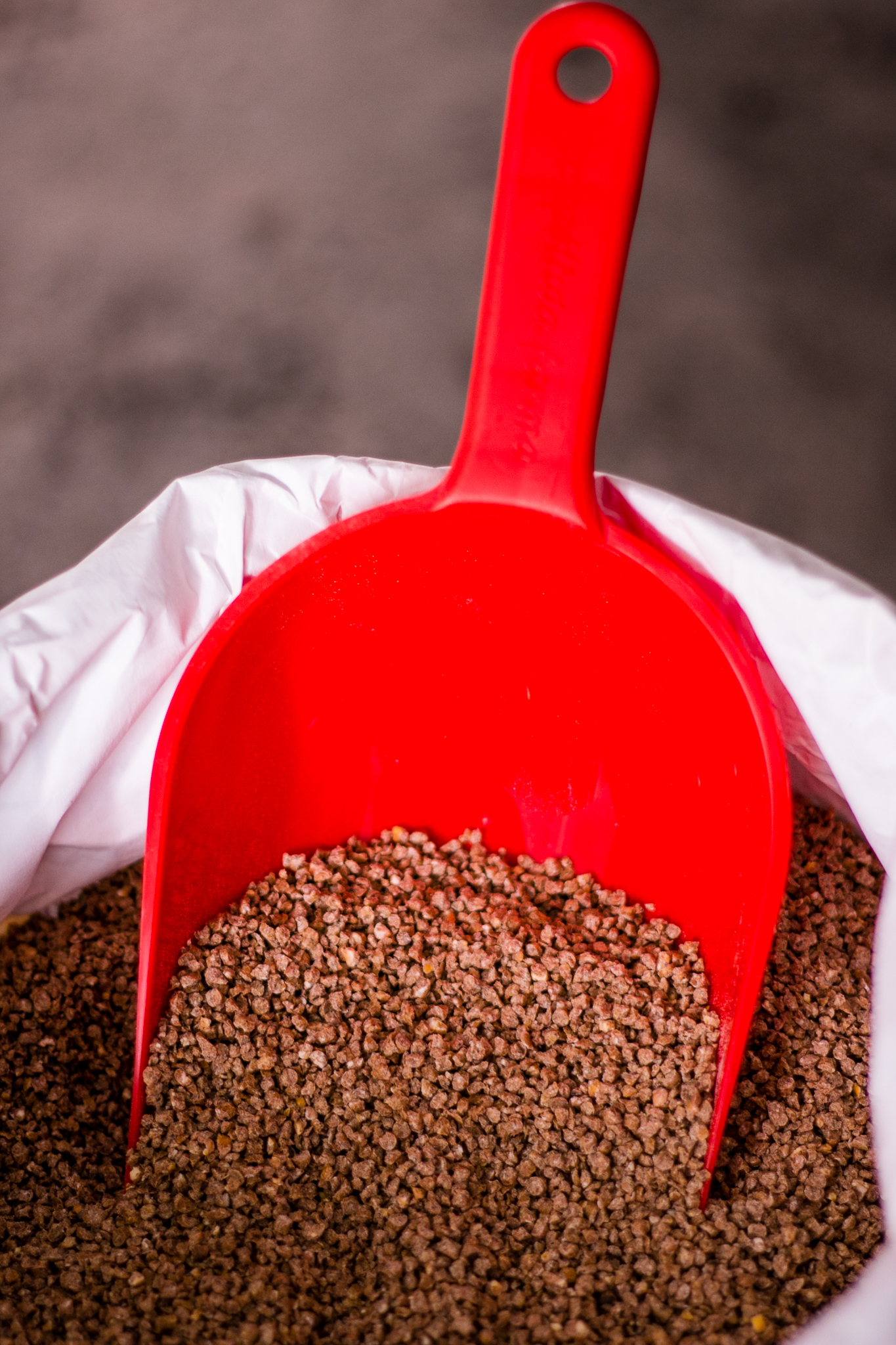 Kaczka GROWER - obrazek 2