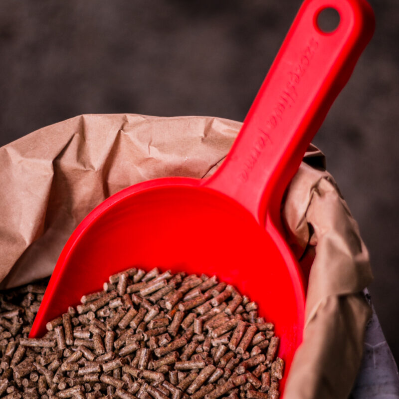 1_ekoplon_krolik_wzrost_pasza_dla_krolikow_full-3