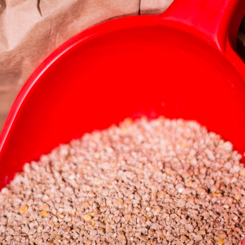 1_ekoplon_kurka_zlotopiorka_brojler_karma_kur_small-3