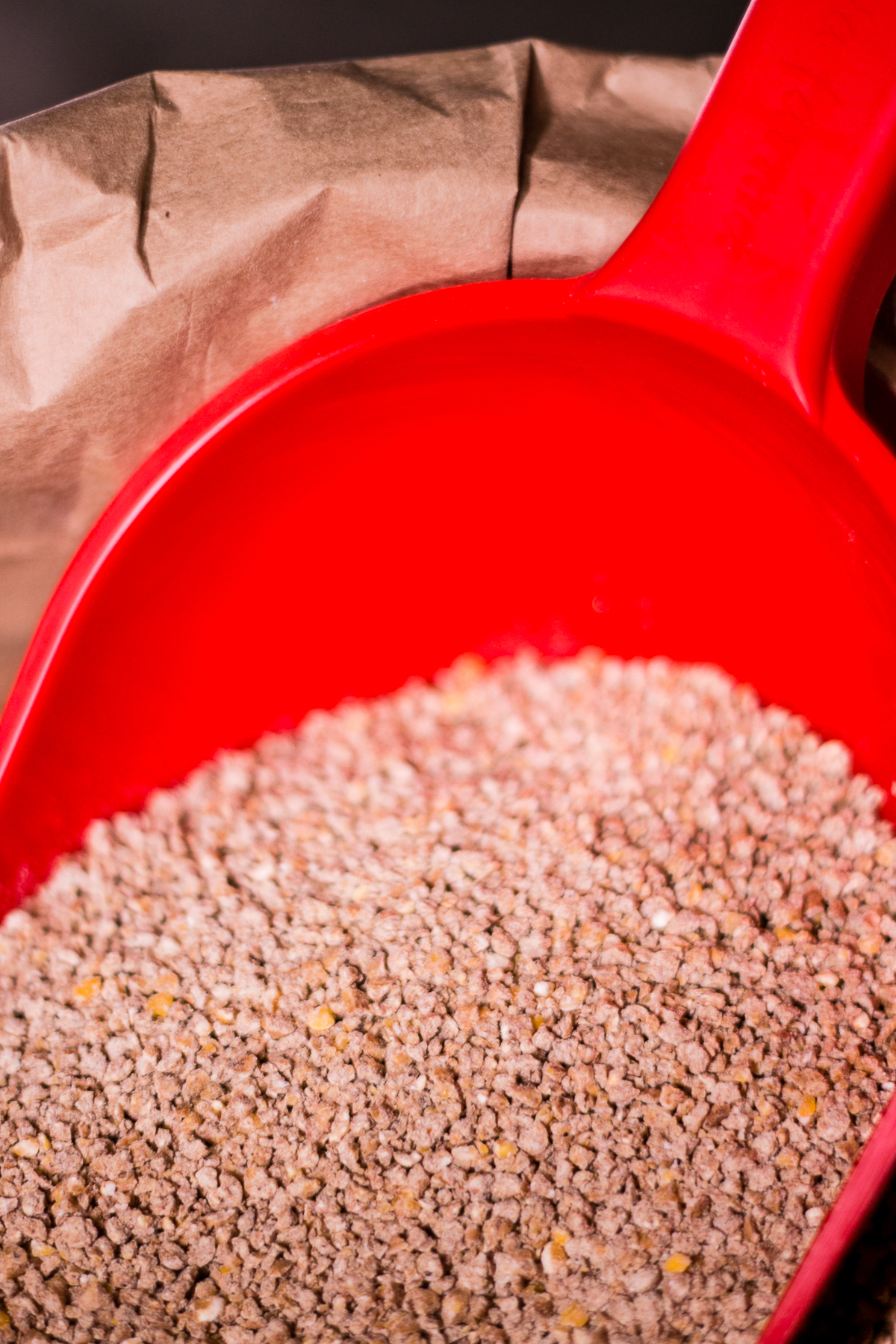 Brojler STARTER - obrazek 2