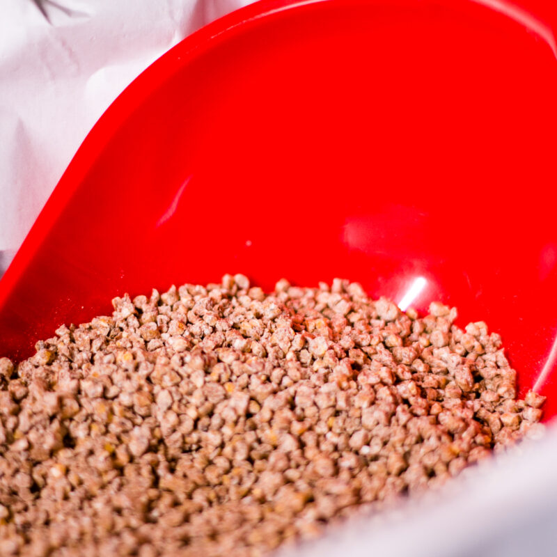 1_ekoplon_kurka_zlotopiorka_karma_kur_small-3